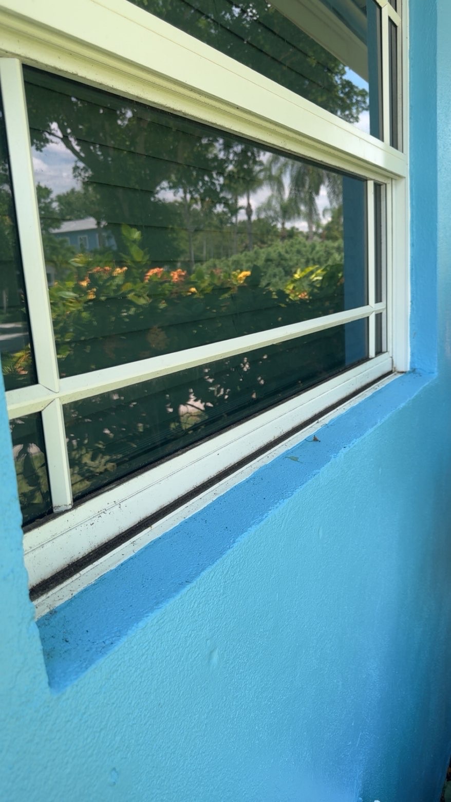 Clean window overlooking garden