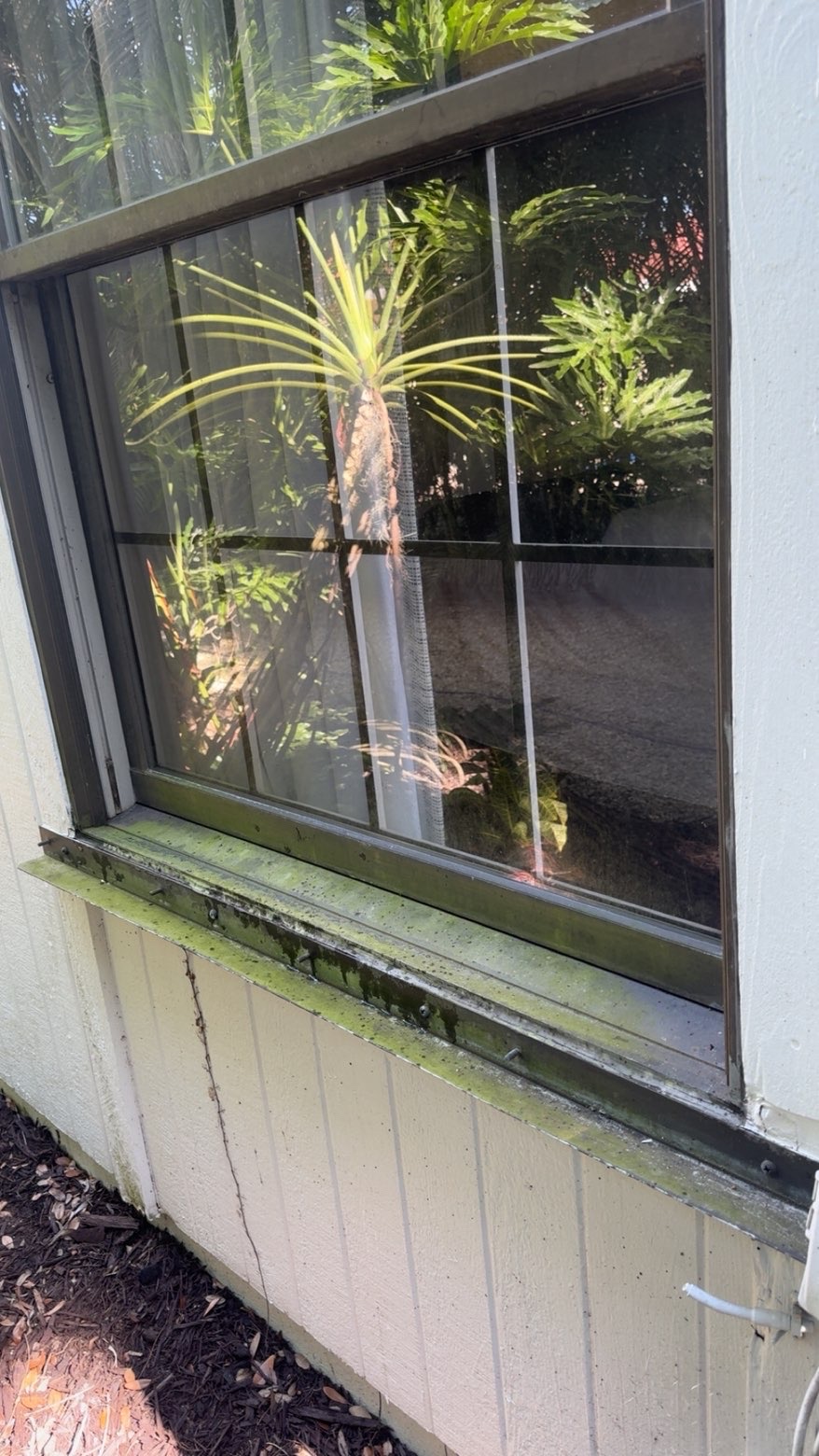 Gutter Cleaning